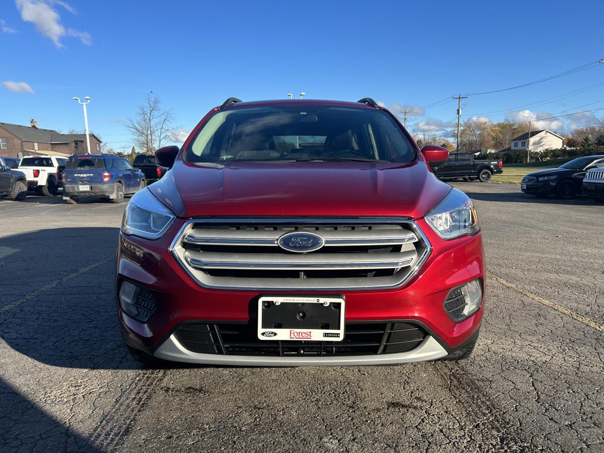 2019 Ford Escape